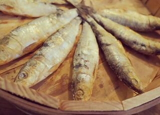 Bodega Vidrios y Cristales - Barcelona