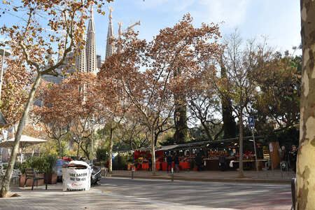 Fira de Nadal de la Sagrada Família - Barcelona