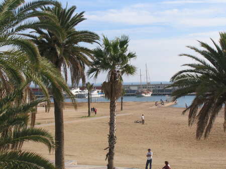 El Puerto Olímpico - Barcelona