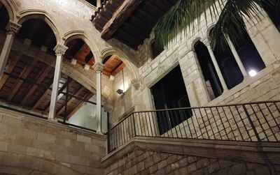 Musée Picasso Billets Coupe-files